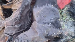 One Person Arrested within the Case on Murder Committed in Merdzavan